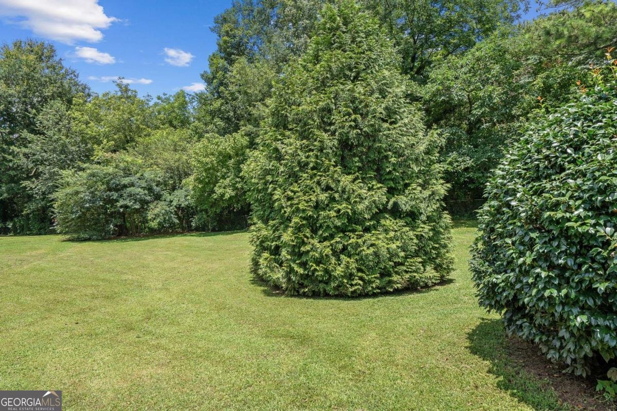310 College Street Bowdon - 28