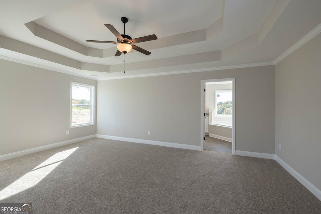 353 Webb Road Martin - 23