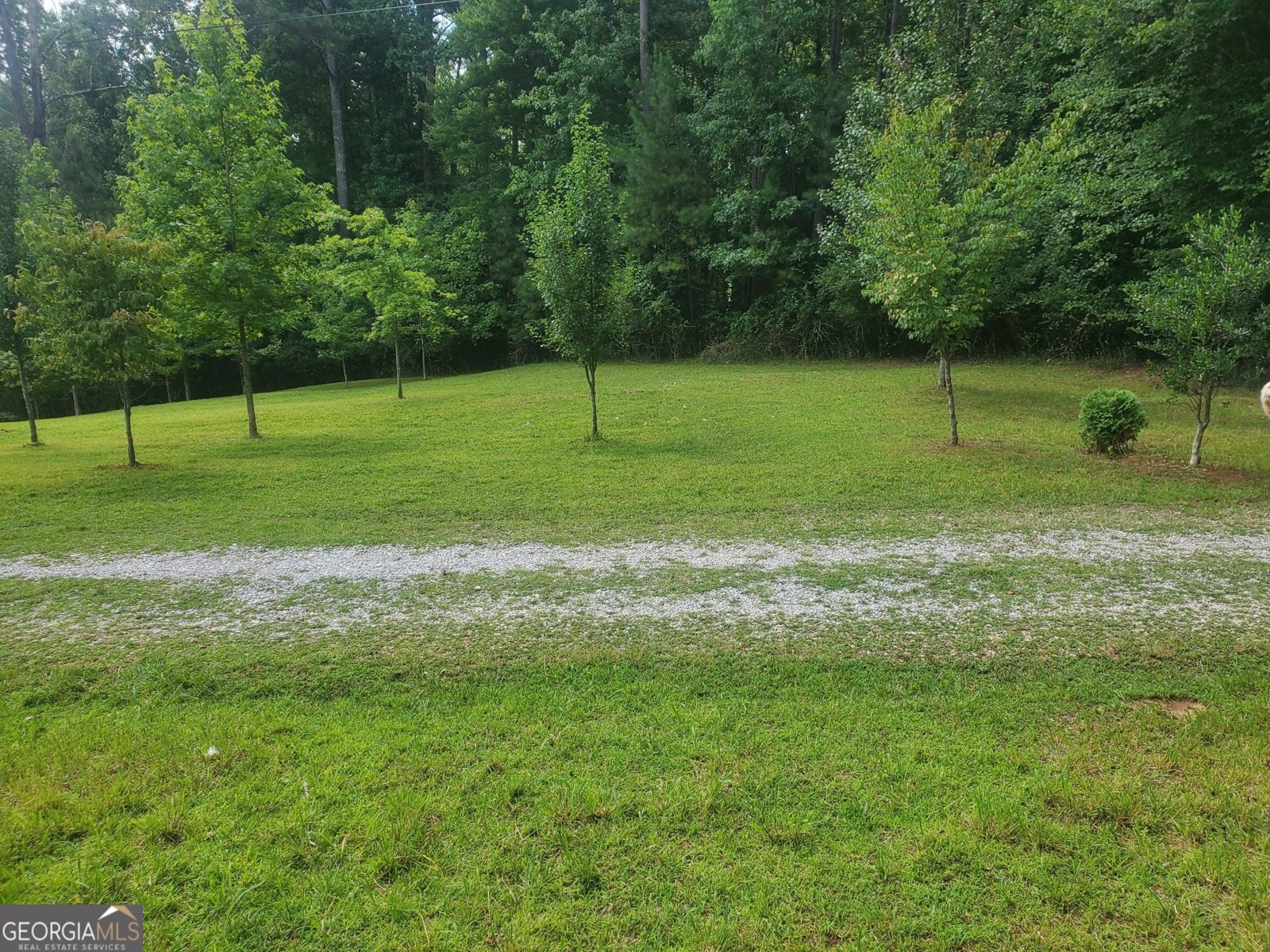 1401 Rainey Road Temple - 27