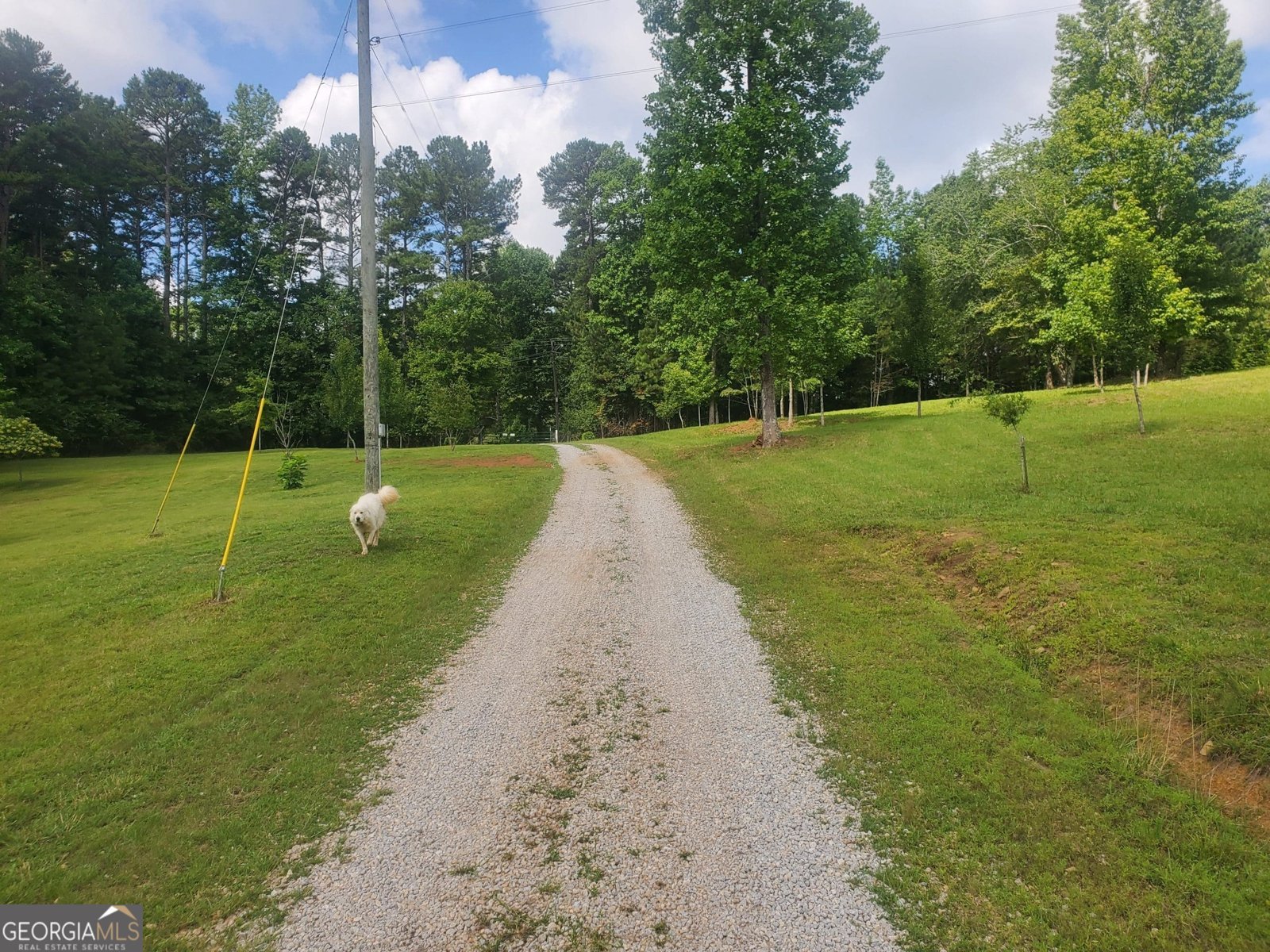 1401 Rainey Road Temple - 31