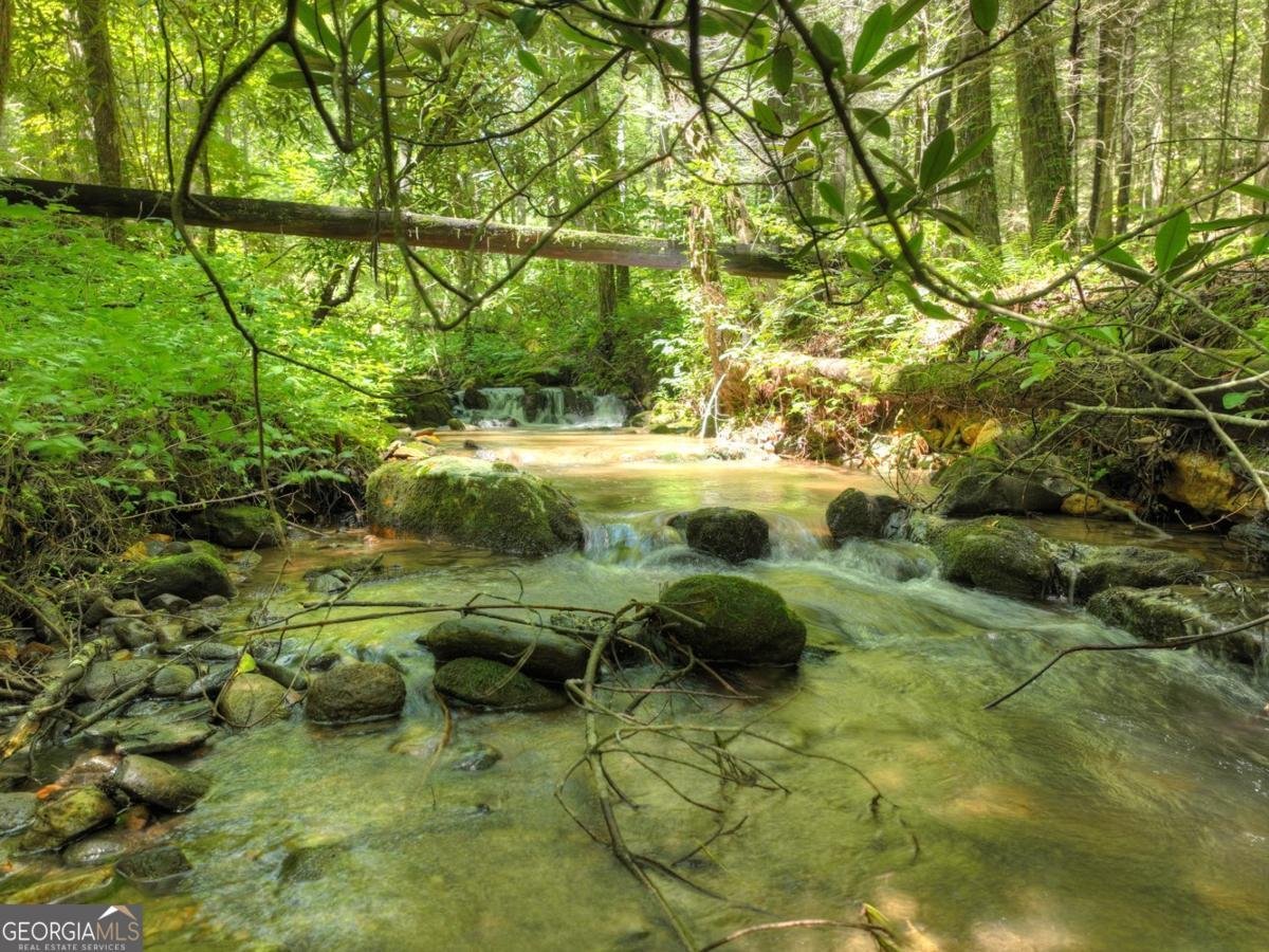 1048 Laurel Trail Ellijay - 1