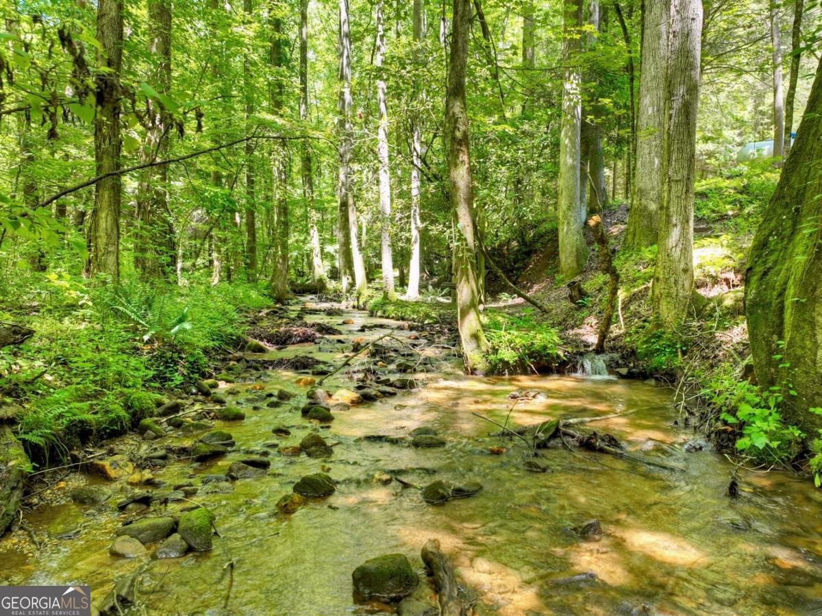 1048 Laurel Trail Ellijay - 10