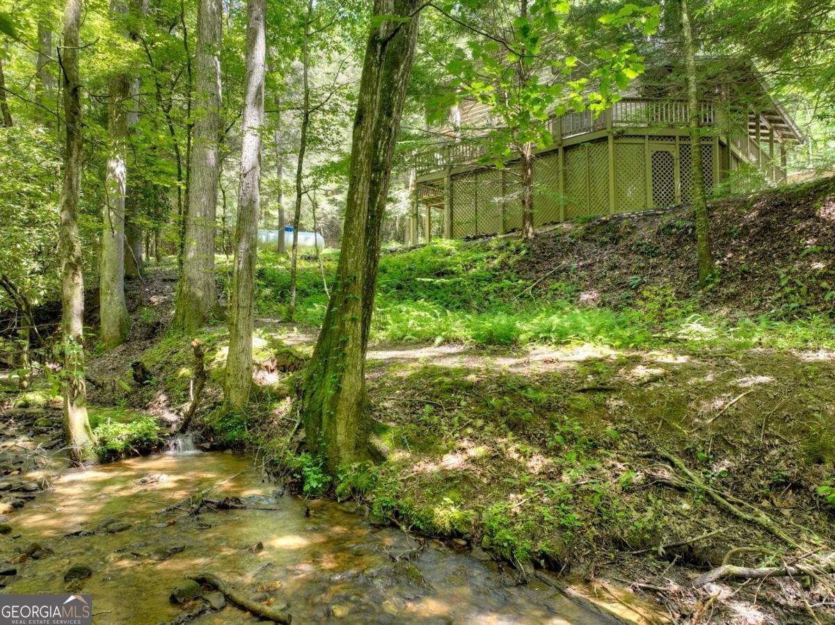 1048 Laurel Trail Ellijay - 12