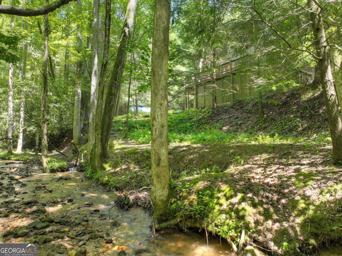 1048 Laurel Trail Ellijay - 13