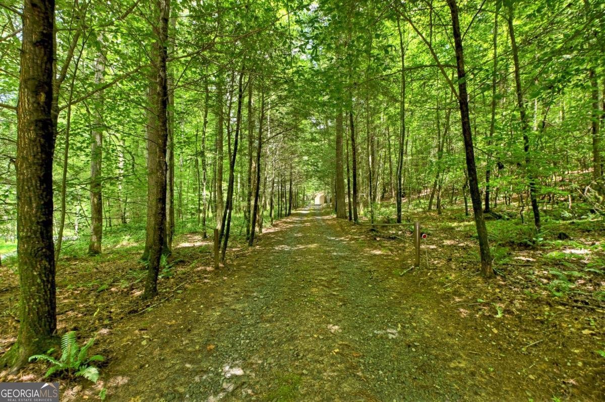 1048 Laurel Trail Ellijay - 14