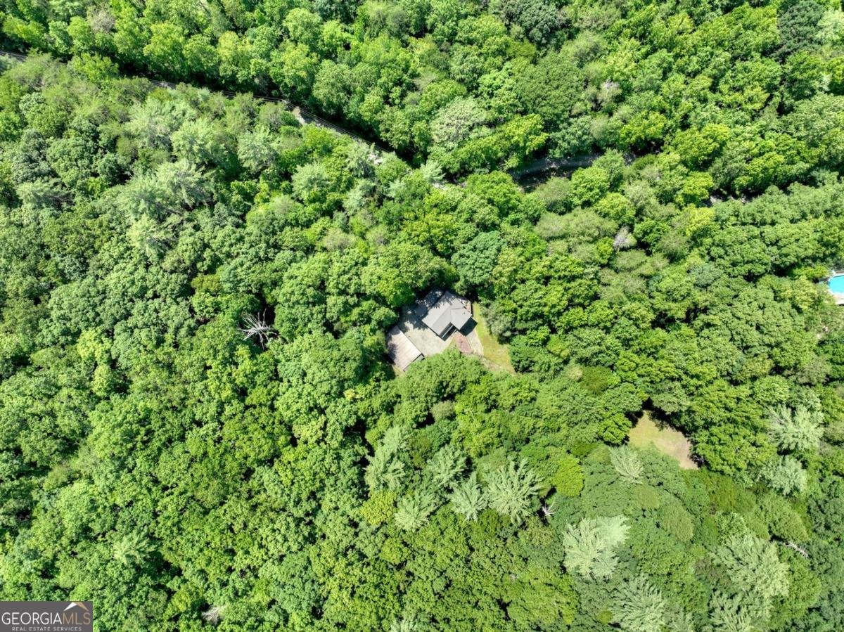 1048 Laurel Trail Ellijay - 16