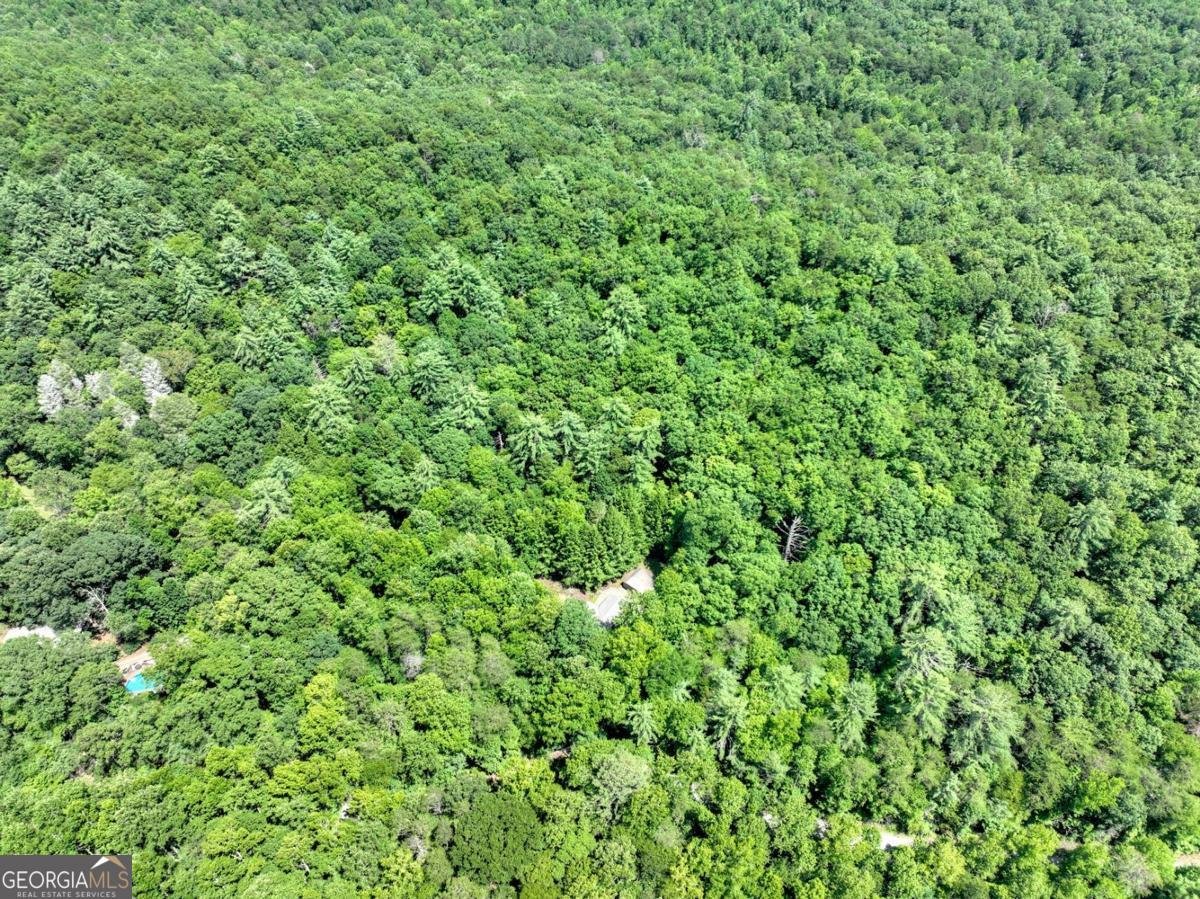 1048 Laurel Trail Ellijay - 17