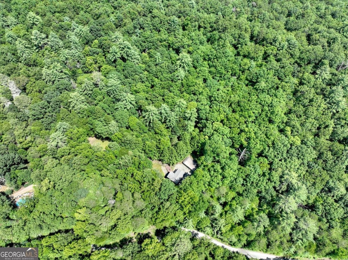 1048 Laurel Trail Ellijay - 18