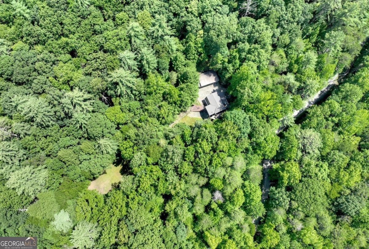 1048 Laurel Trail Ellijay - 19