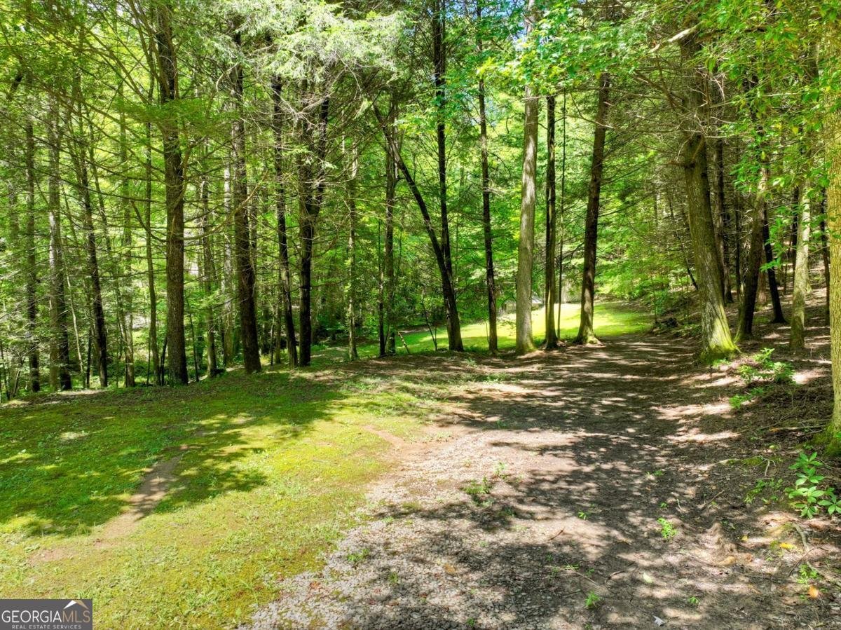 1048 Laurel Trail Ellijay - 3