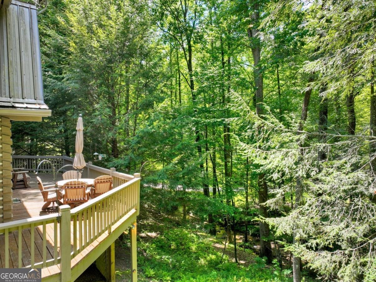 1048 Laurel Trail Ellijay - 49