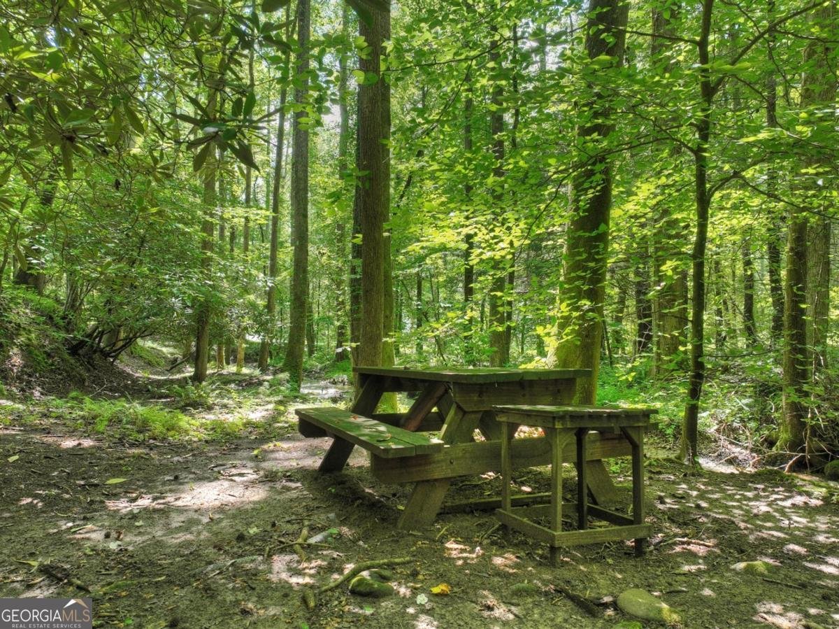 1048 Laurel Trail Ellijay - 51