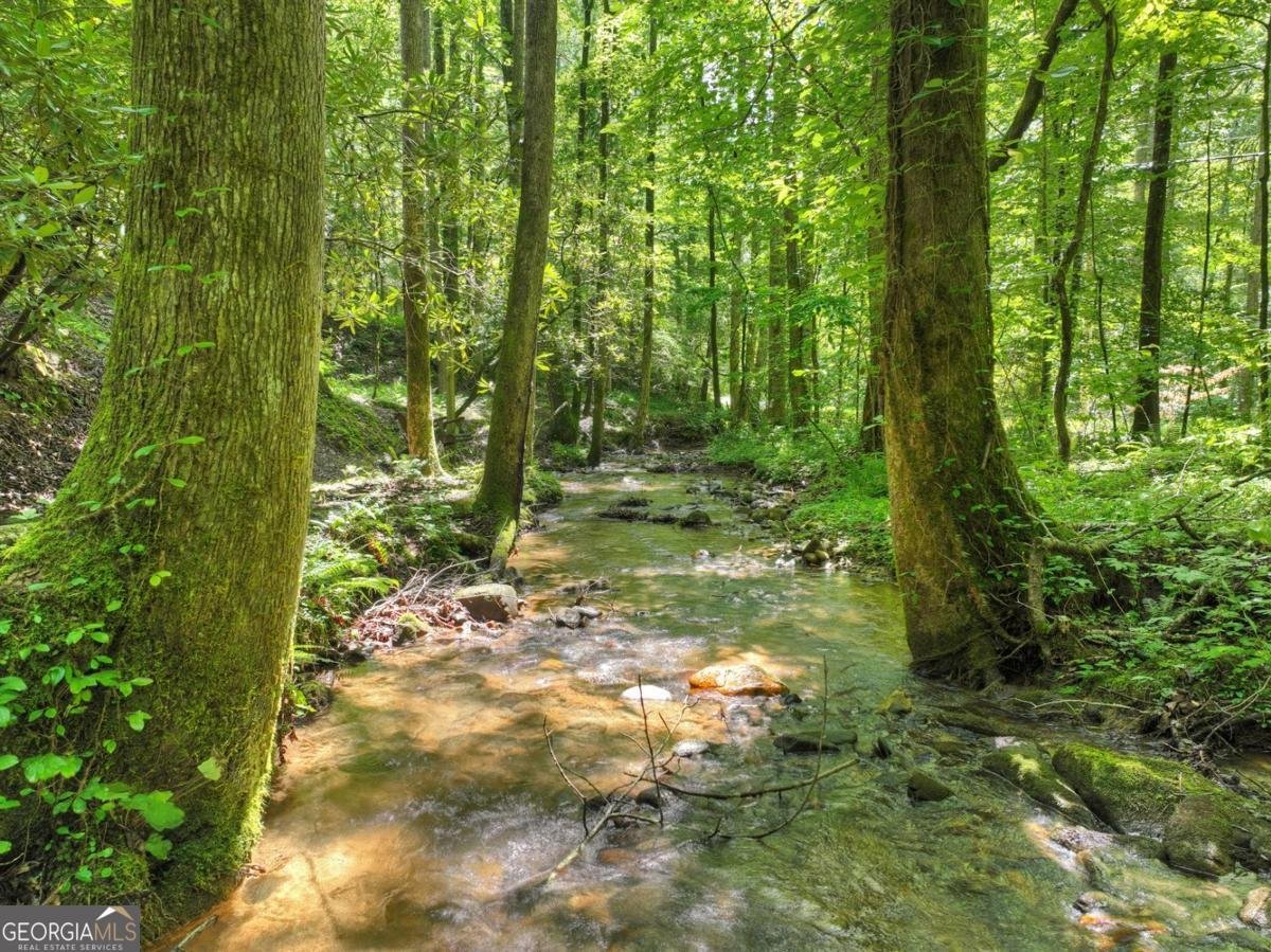 1048 Laurel Trail Ellijay - 52