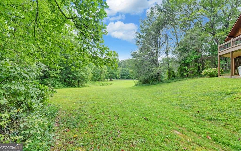 3632 Whitepath Road Ellijay - 29