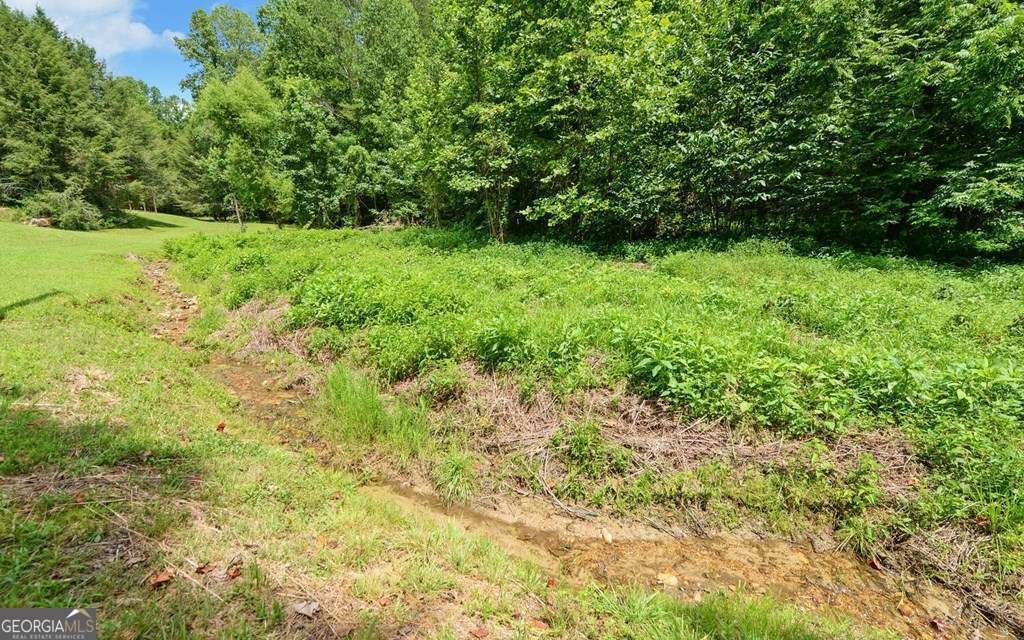 3632 Whitepath Road Ellijay - 32
