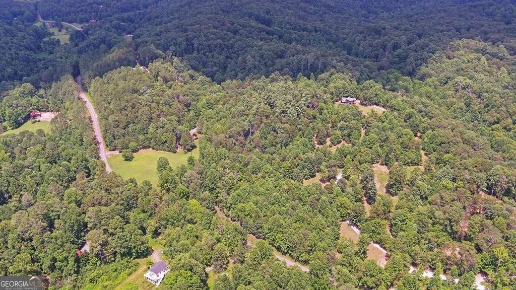 3632 Whitepath Road Ellijay - 34