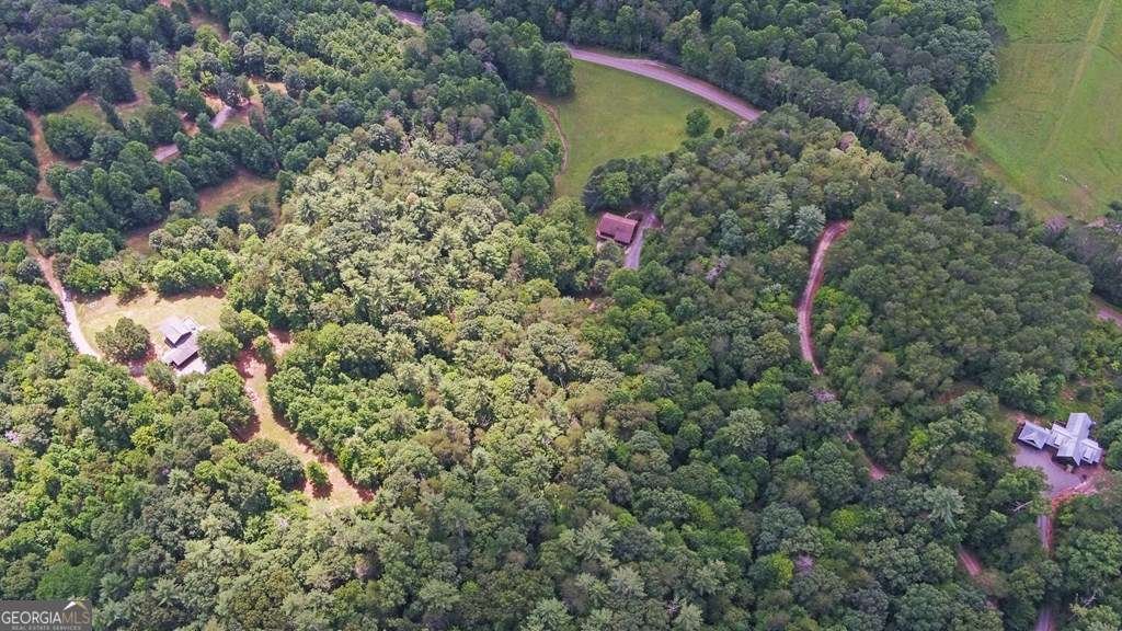 3632 Whitepath Road Ellijay - 36