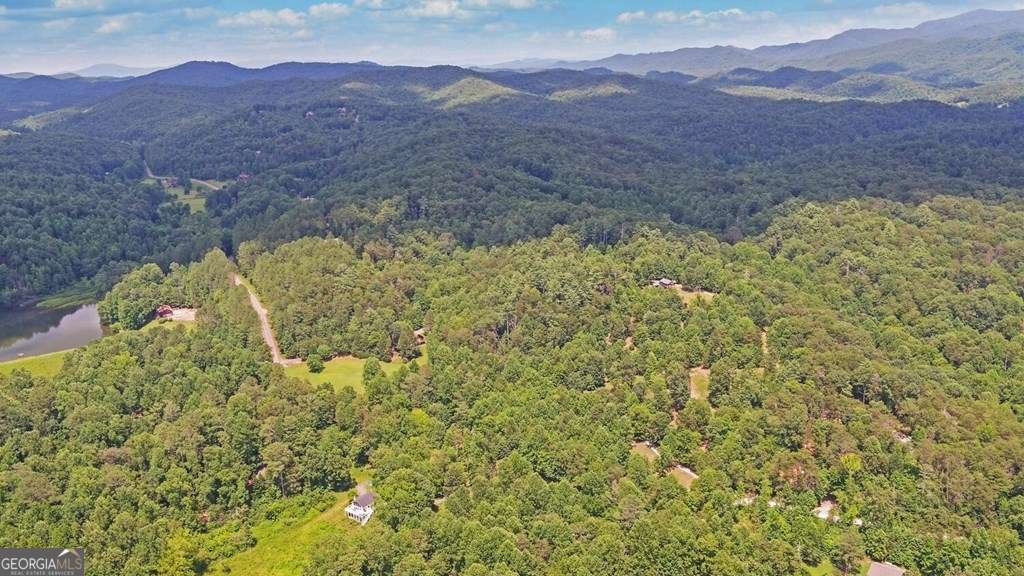 3632 Whitepath Road Ellijay - 37