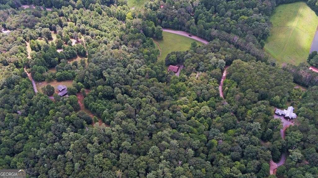 3632 Whitepath Road Ellijay - 40