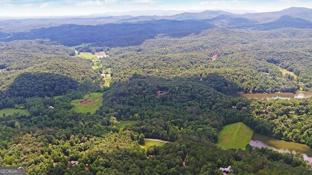 3632 Whitepath Road Ellijay - 43