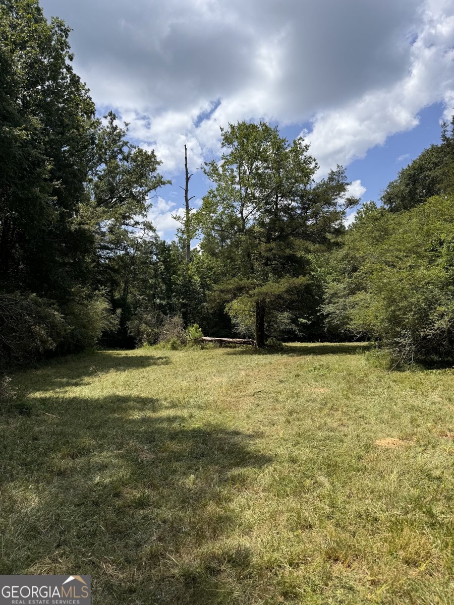4911 Penfield Road Union Point - 8