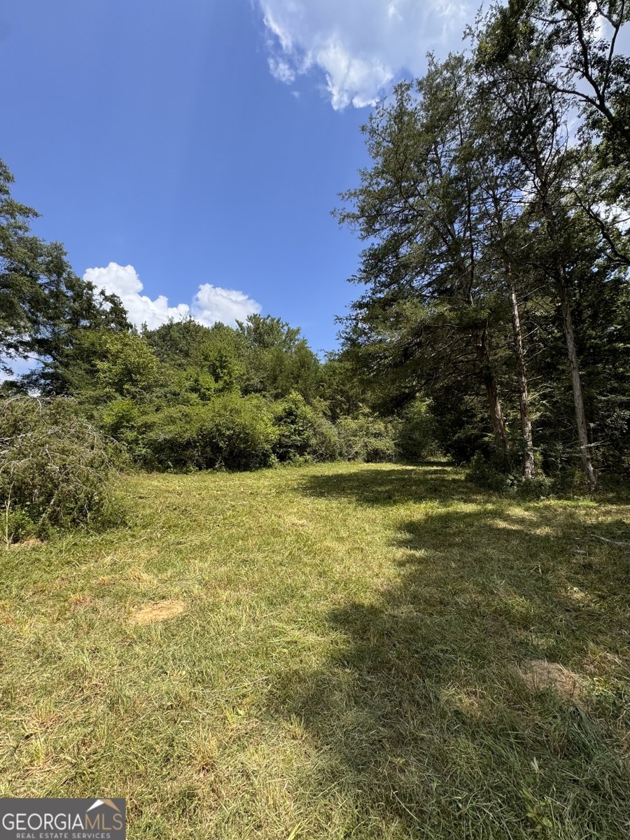 4911 Penfield Road Union Point - 9