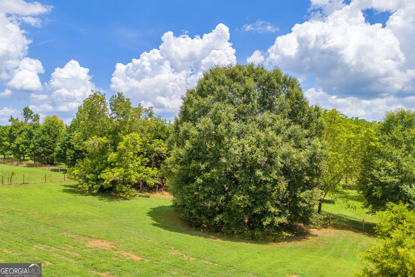 167 Meadow Lark Way Maysville - 41