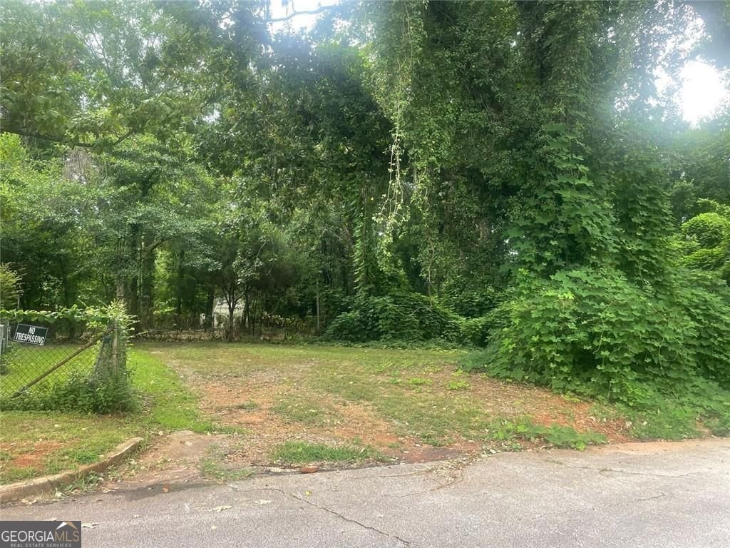 1664 Temple Avenue Atlanta - 5