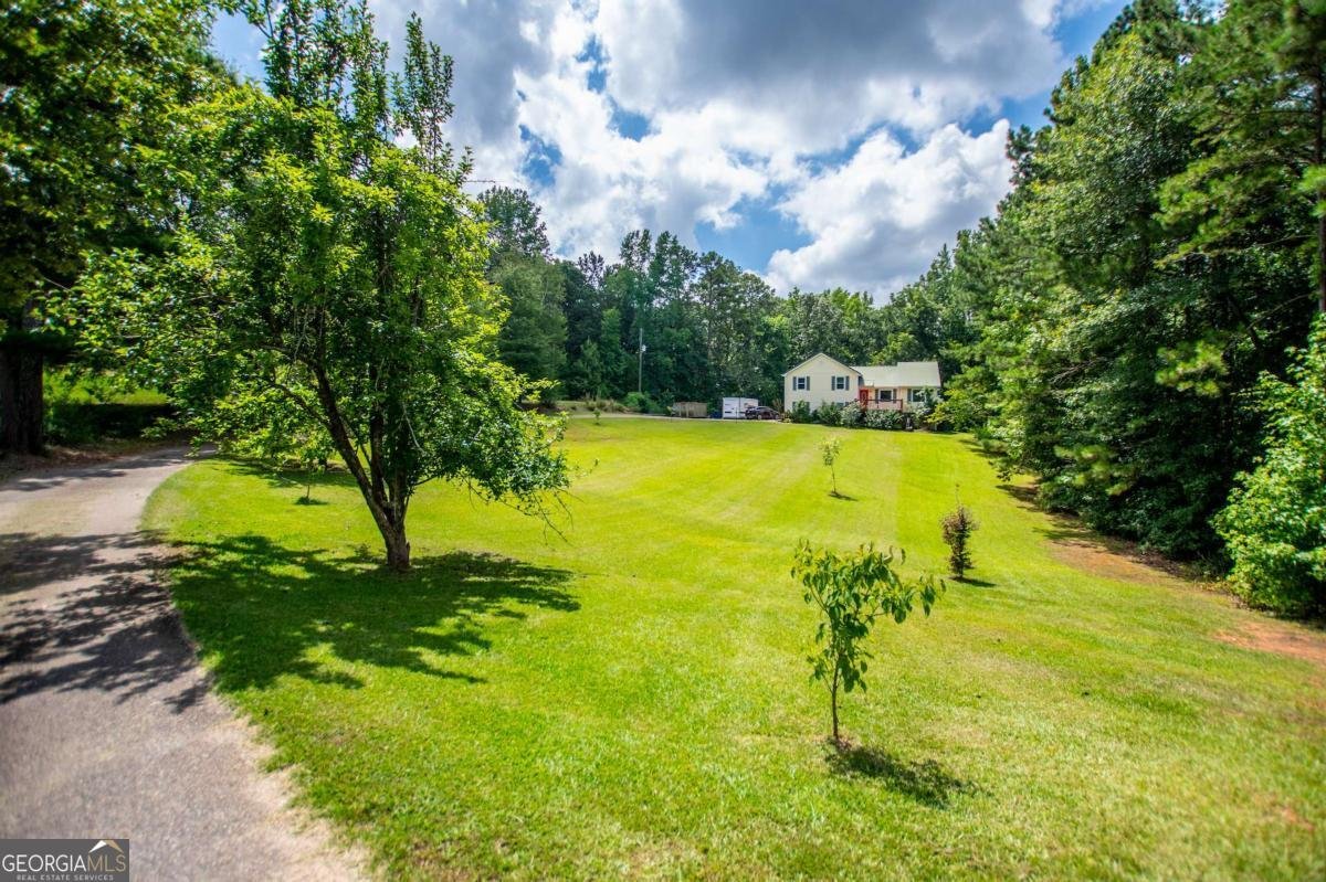 4391 N McKoy Rd Villa Rica - 3