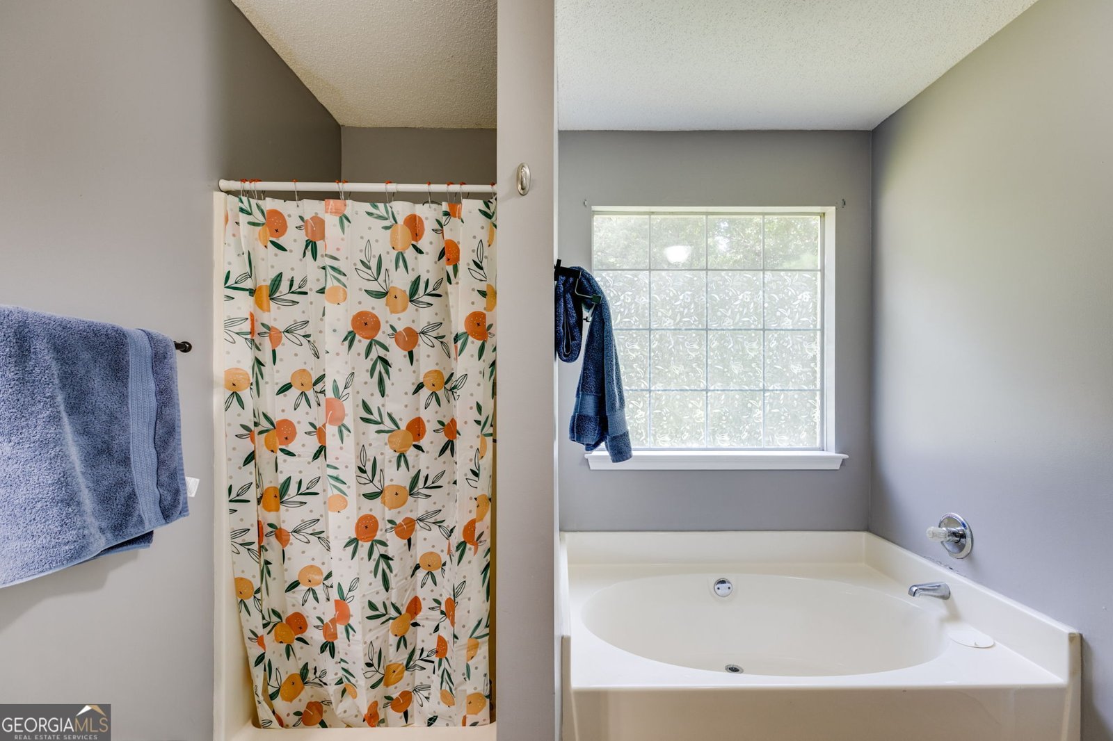 294 Collins Drive Douglasville - 15
