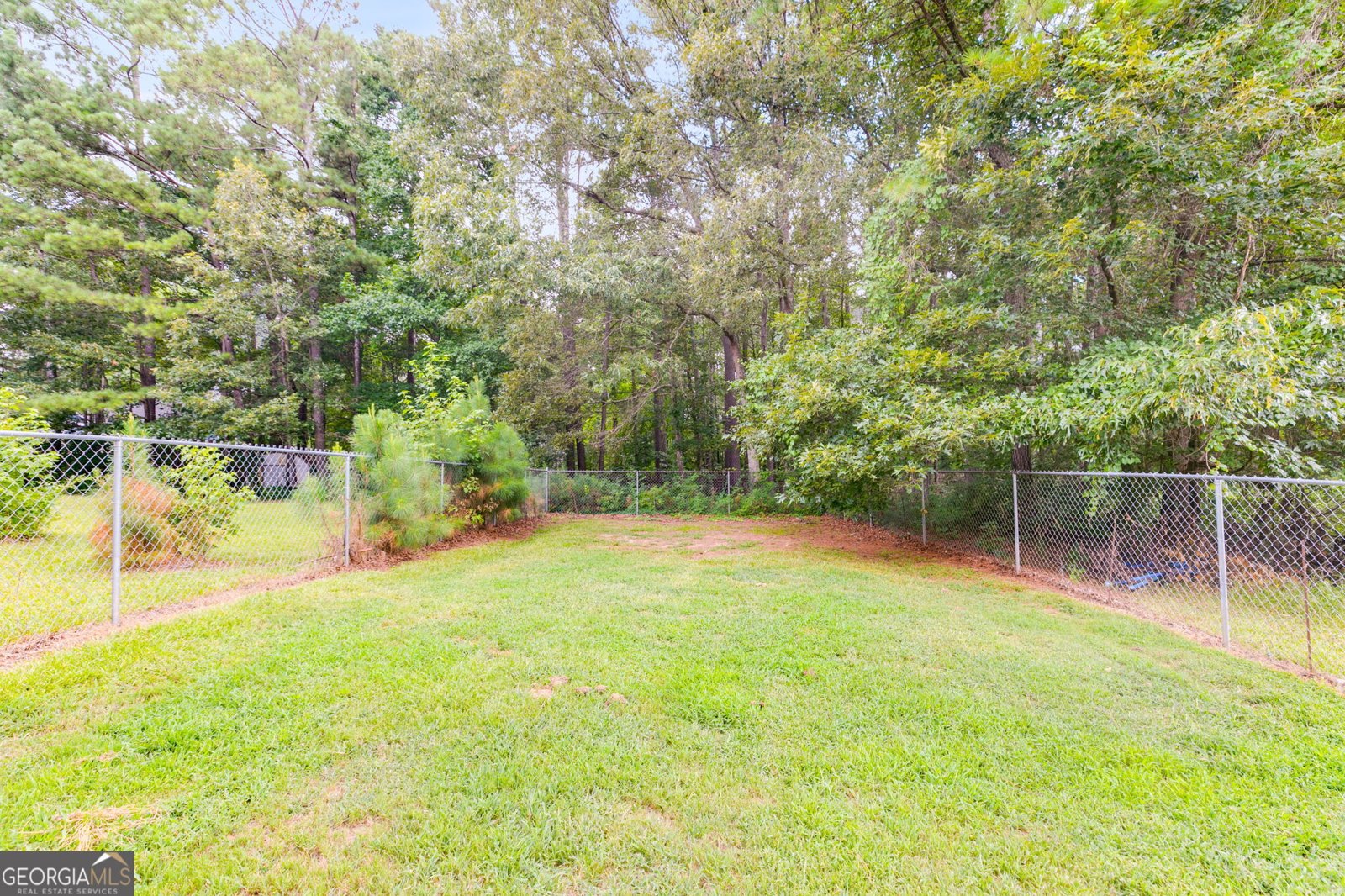 294 Collins Drive Douglasville - 20