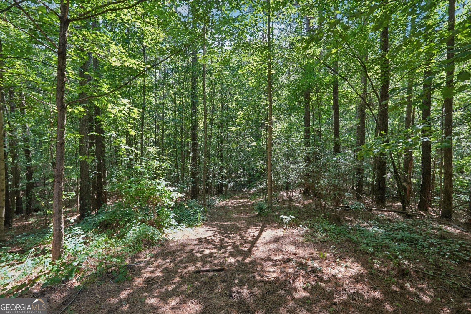 202 Saddlehorn Trail Ball Ground - 23