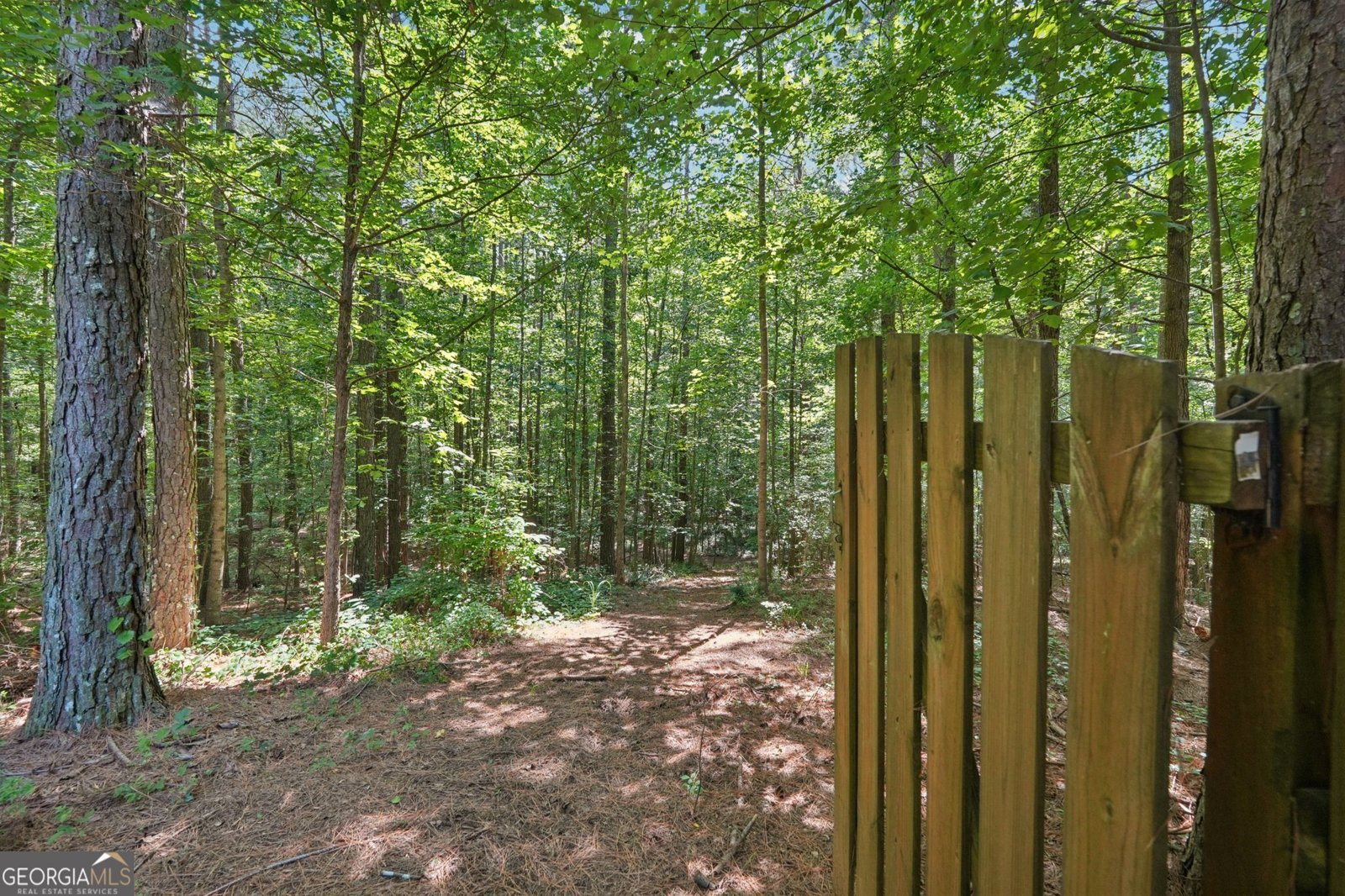 202 Saddlehorn Trail Ball Ground - 24