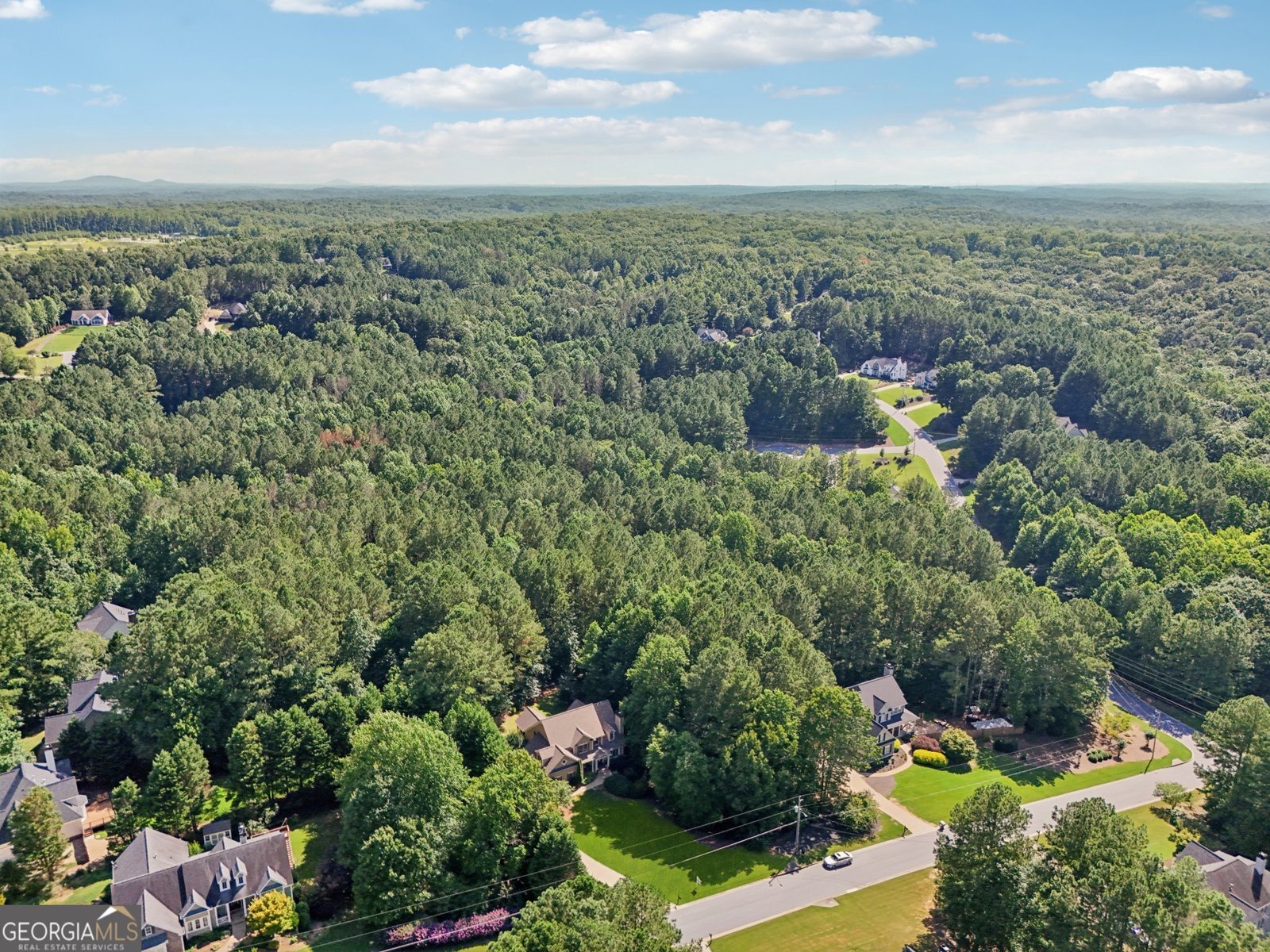 202 Saddlehorn Trail Ball Ground - 37