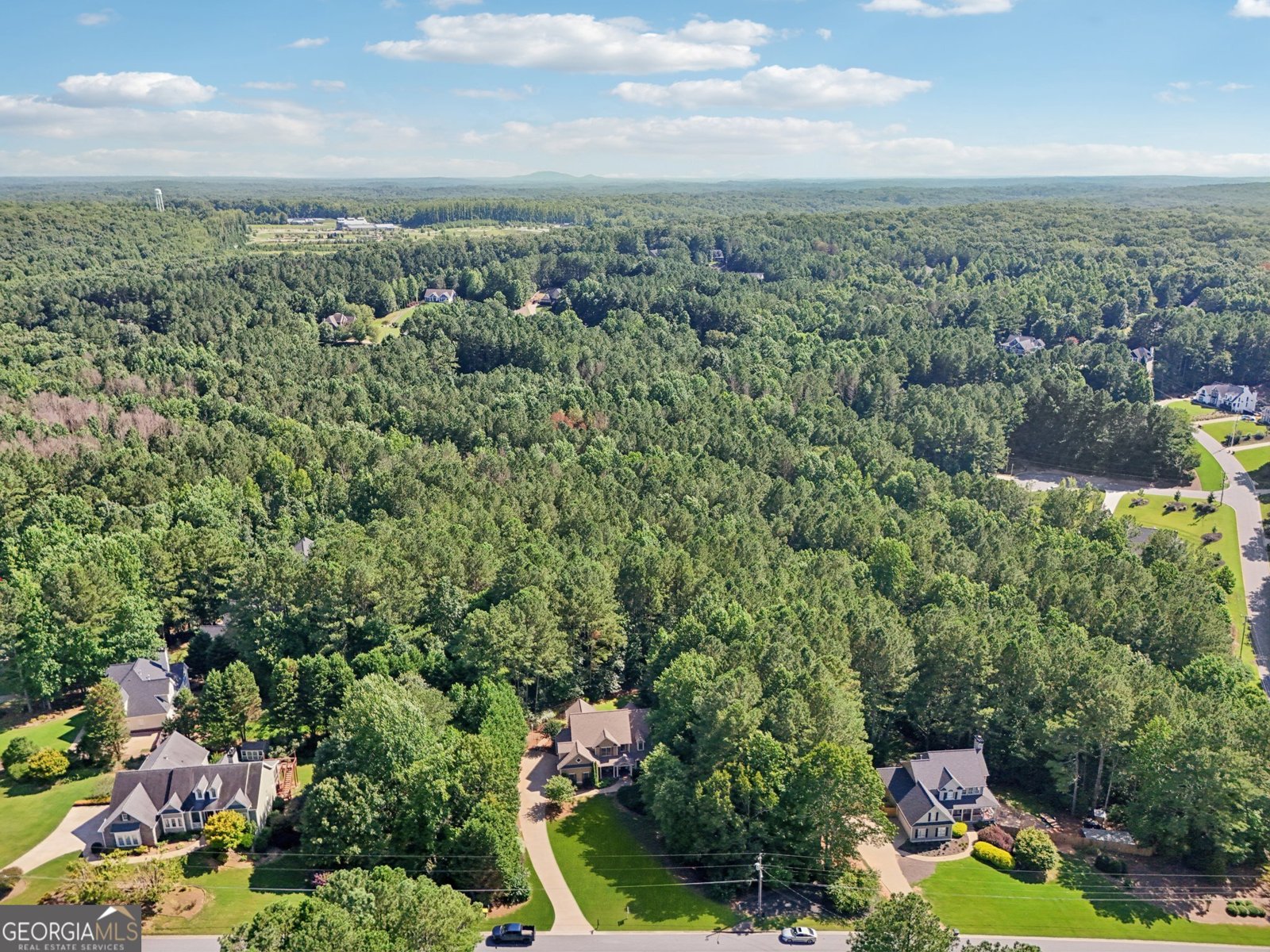 202 Saddlehorn Trail Ball Ground - 38