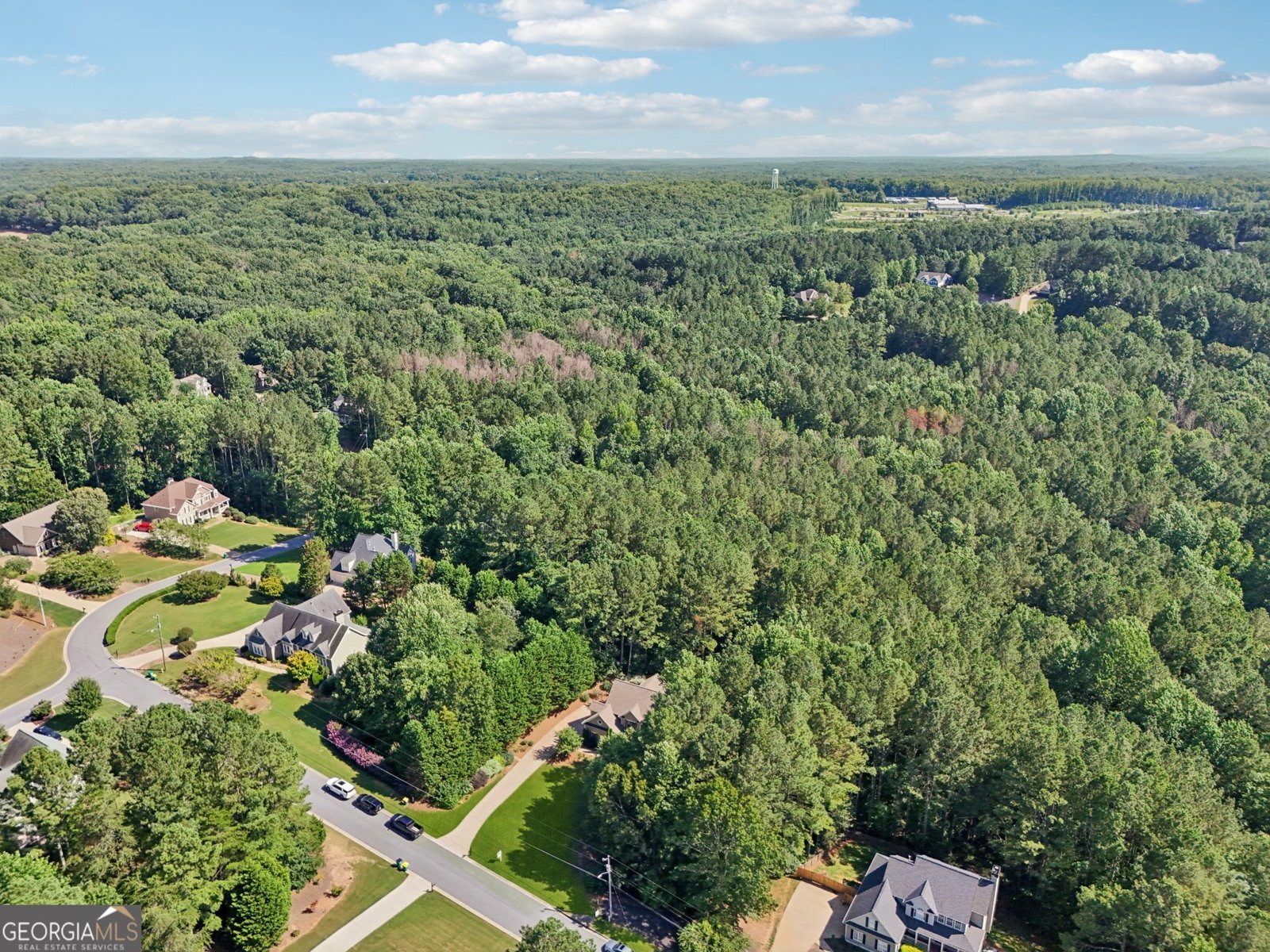 202 Saddlehorn Trail Ball Ground - 40