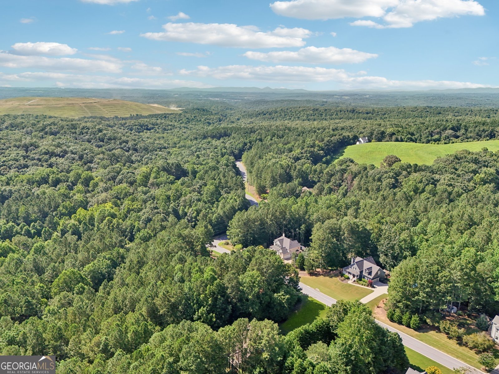 202 Saddlehorn Trail Ball Ground - 43