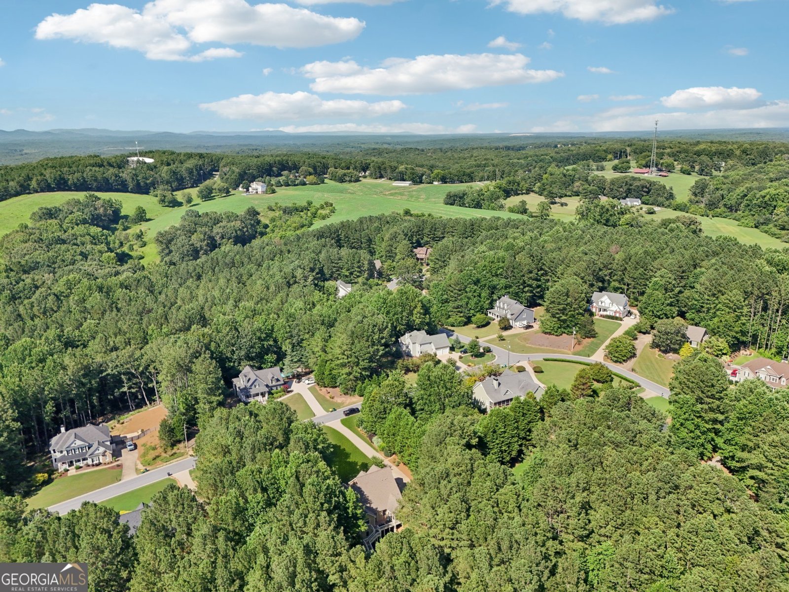 202 Saddlehorn Trail Ball Ground - 44