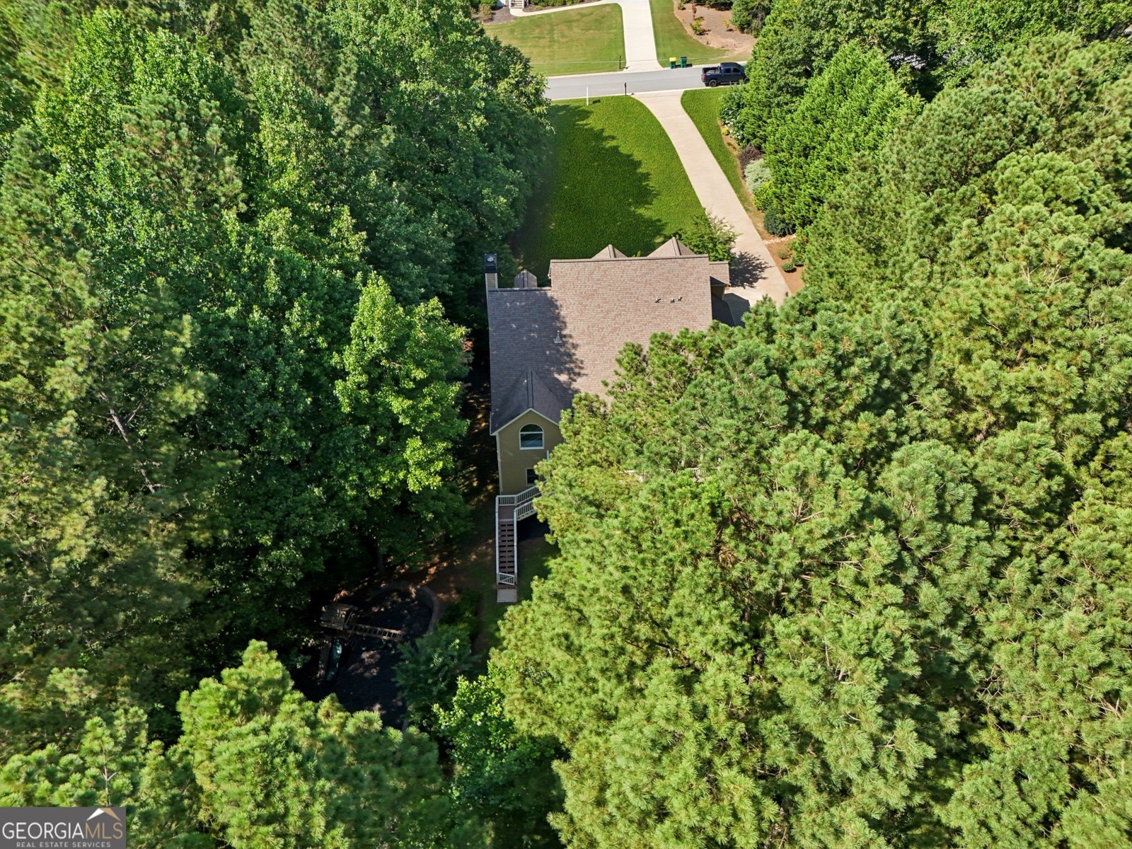 202 Saddlehorn Trail Ball Ground - 46