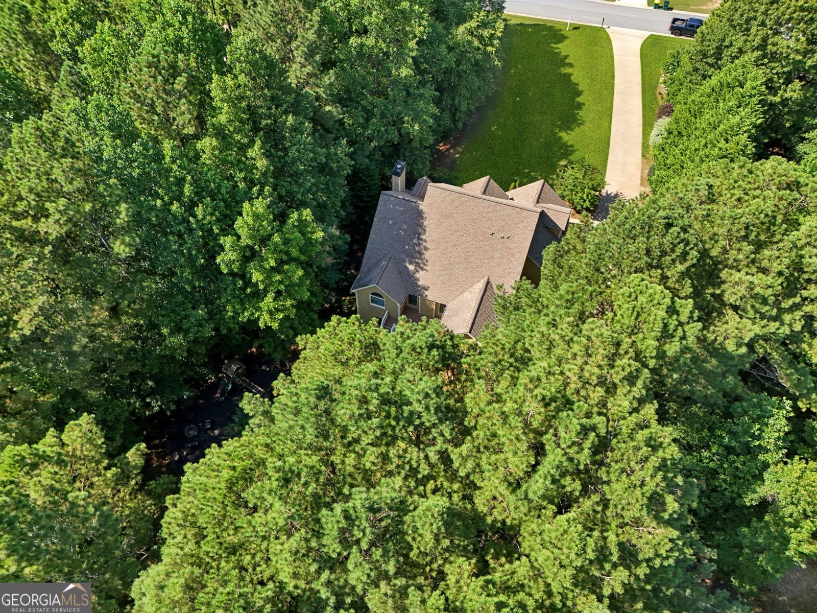 202 Saddlehorn Trail Ball Ground - 47