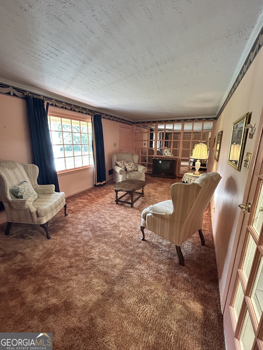 2236 Ga Highway 88 Hephzibah - 19