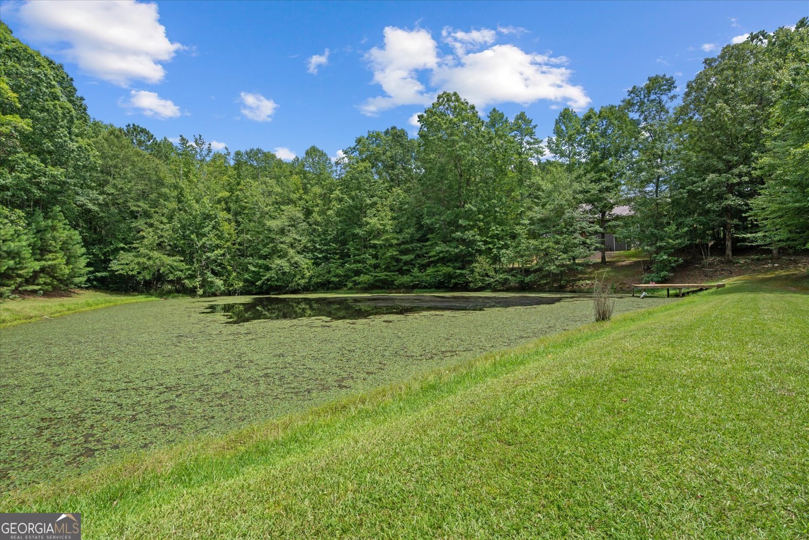 1828 Roosterville Road Roopville - 38