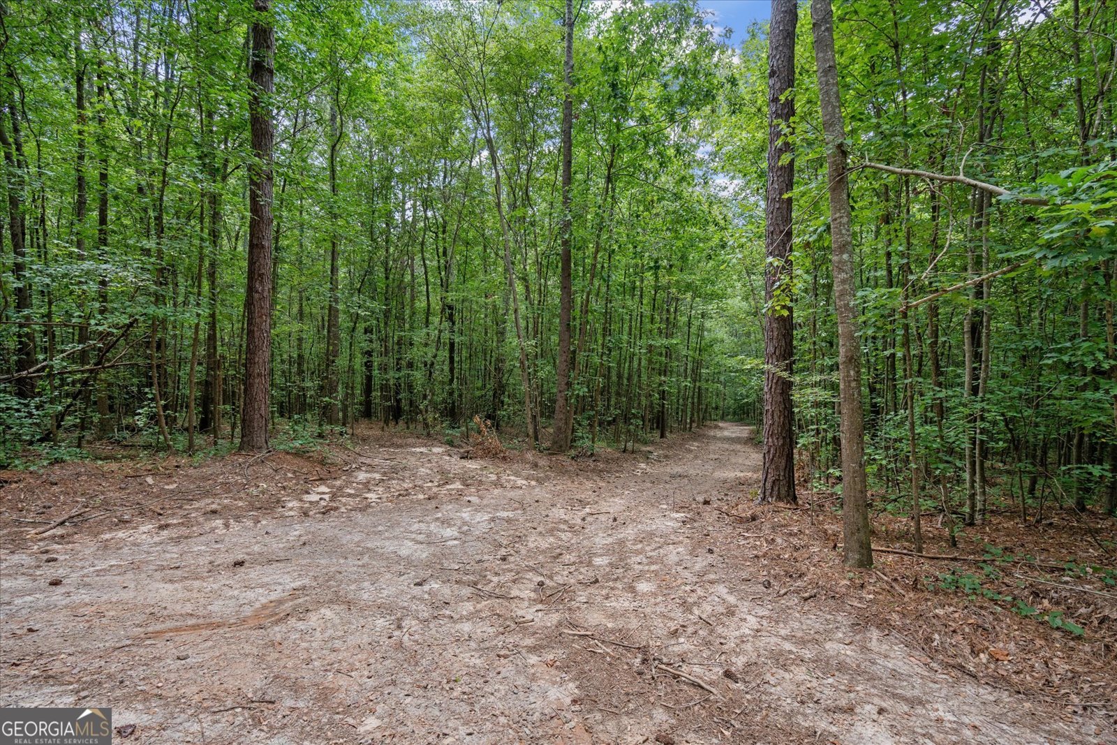 1828 Roosterville Road Roopville - 46