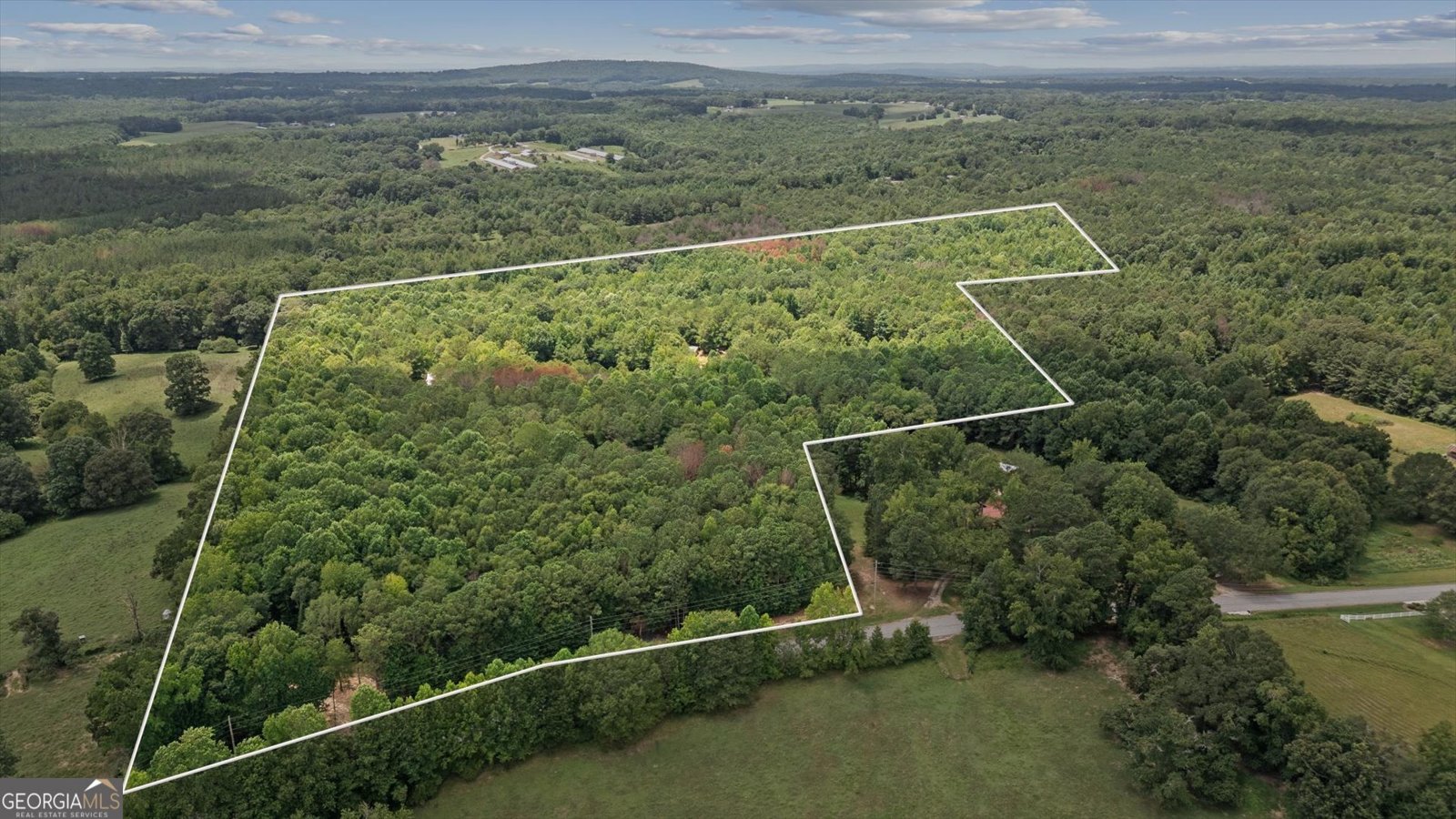 1828 Roosterville Road Roopville - 5