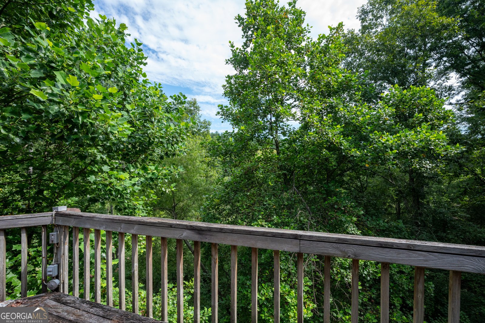 502 Monitor Drive Ellijay - 19