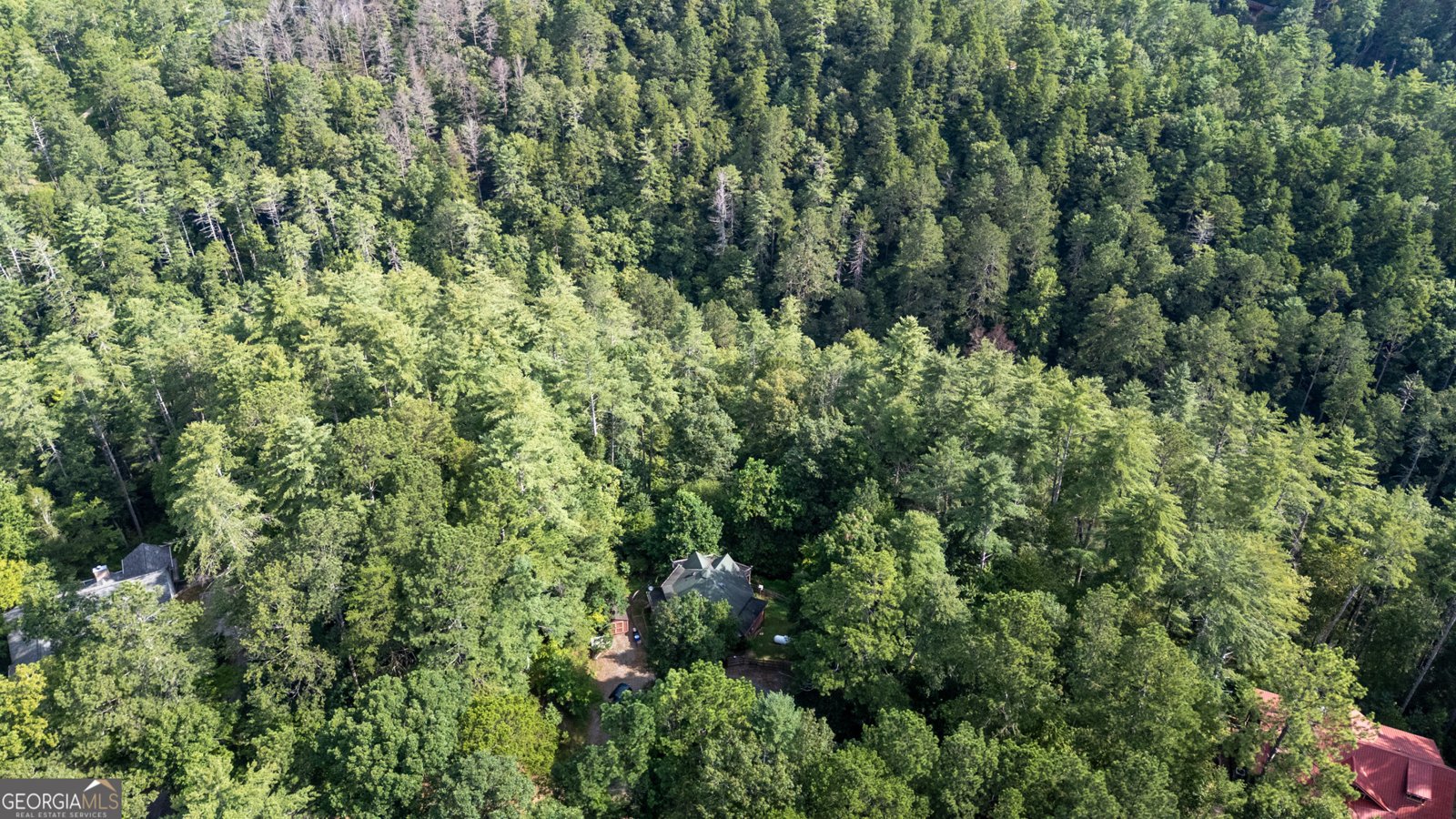 502 Monitor Drive Ellijay - 33