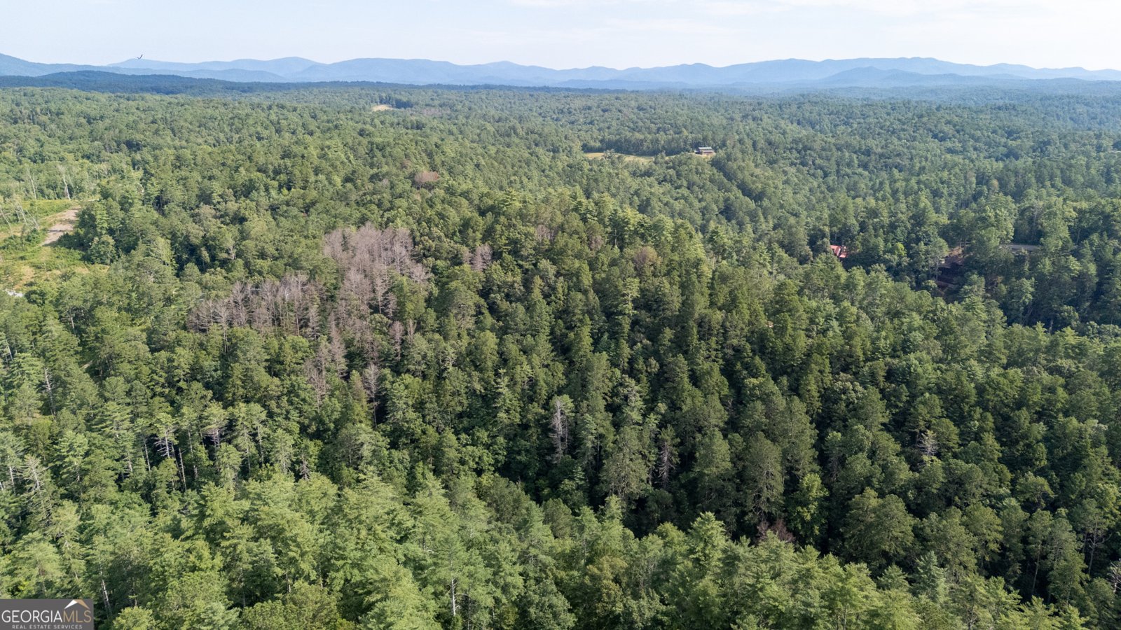 502 Monitor Drive Ellijay - 34