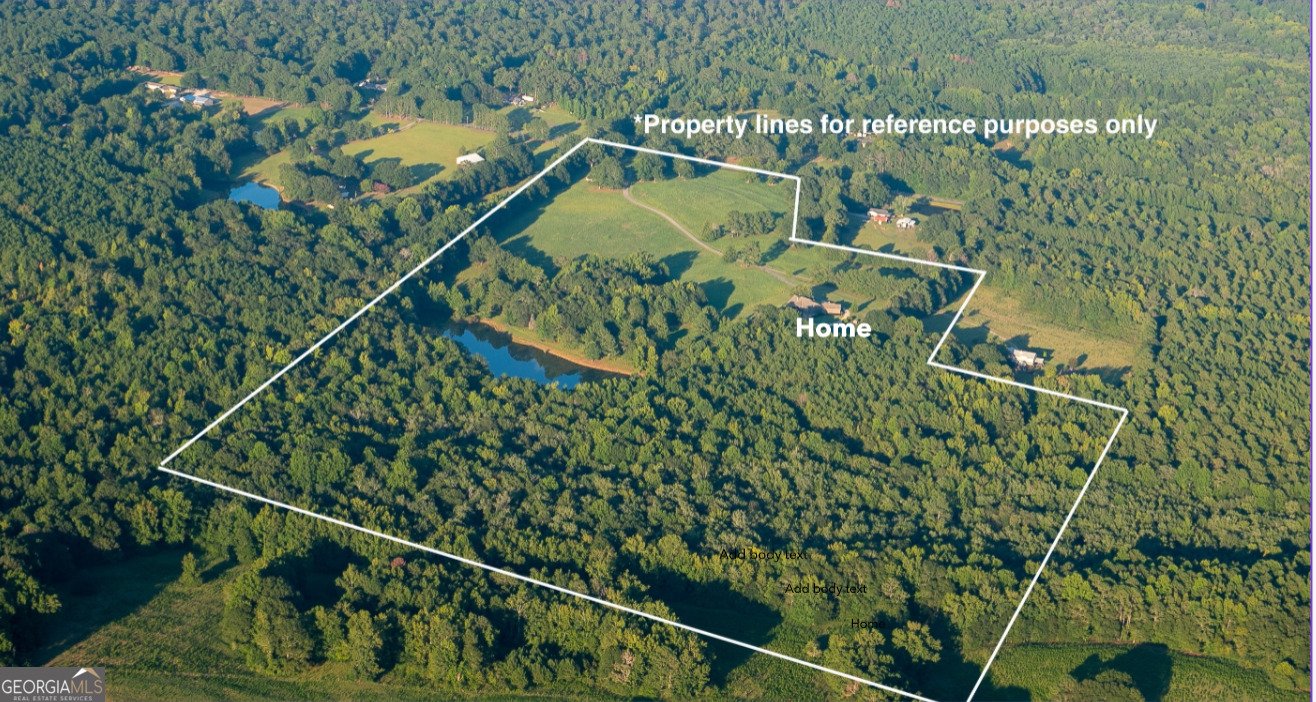545 Minnie Sewell Road Grantville - 4