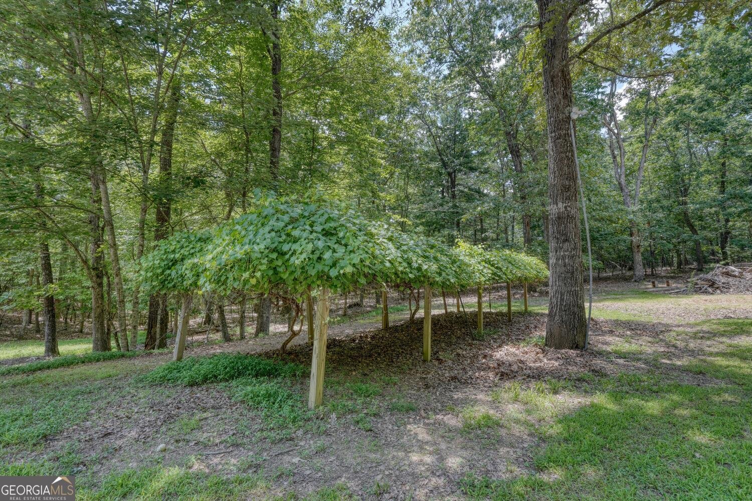 885 Tomahawk Trail Blairsville - 14