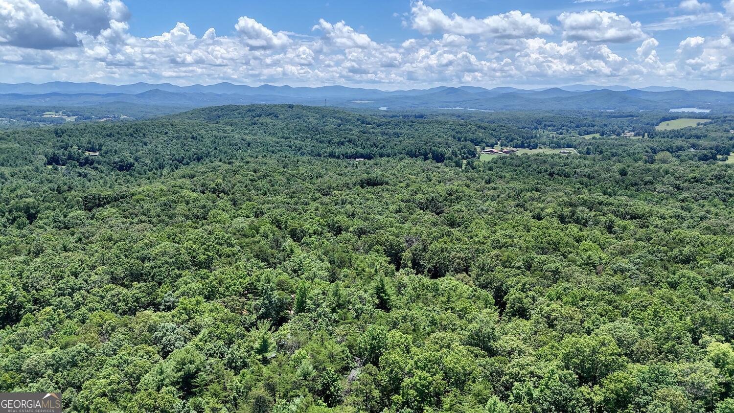 885 Tomahawk Trail Blairsville - 37